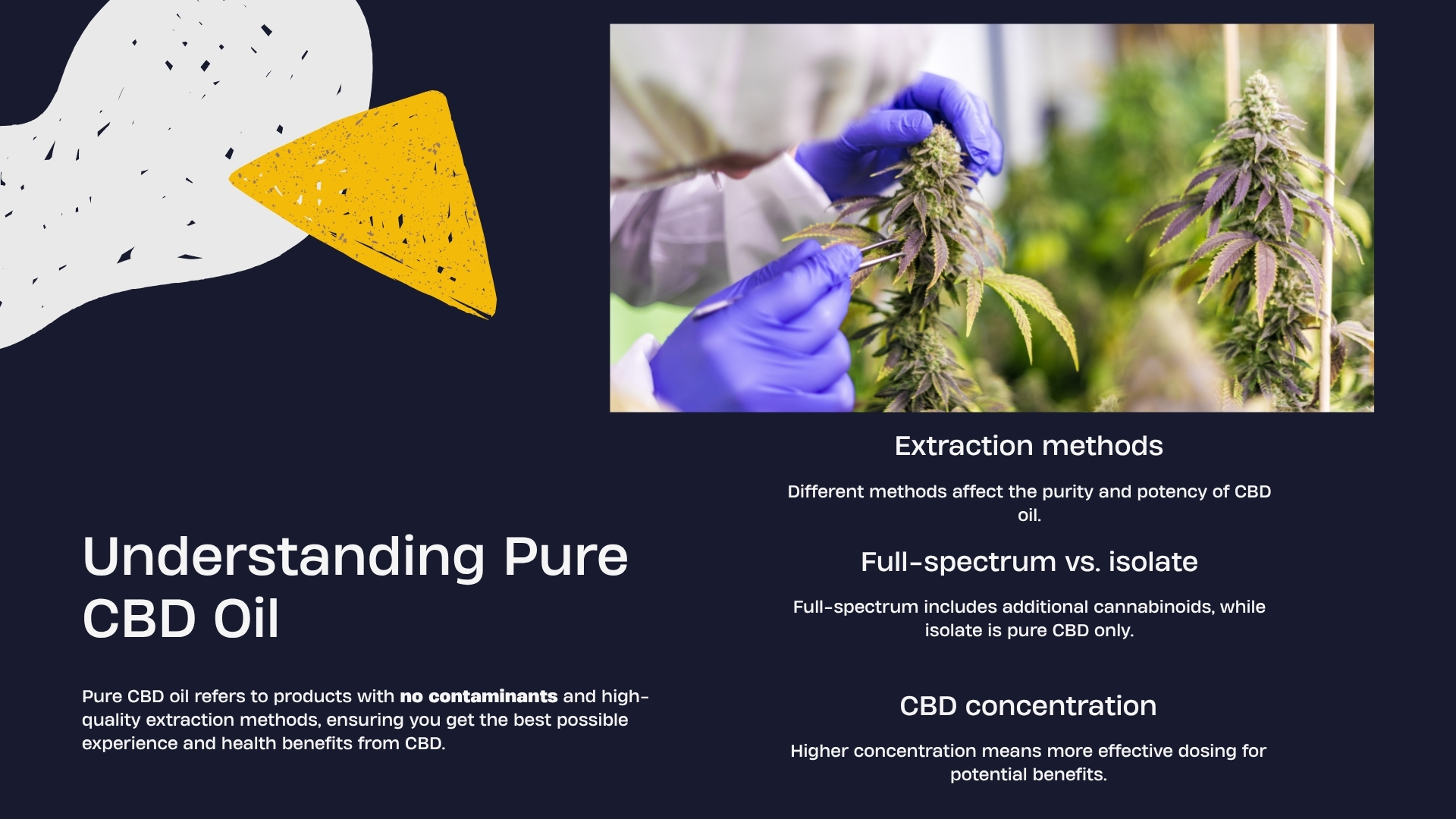 pure cbd oil price